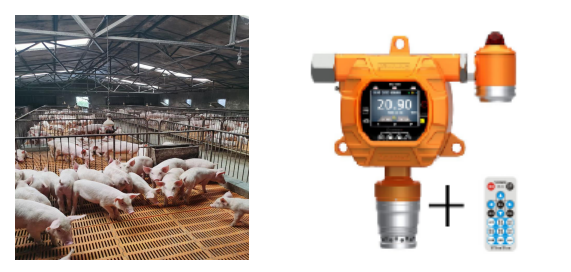 畜牧养殖气体监测刻不容缓！逸云天气体检测仪助您抢占先机图片